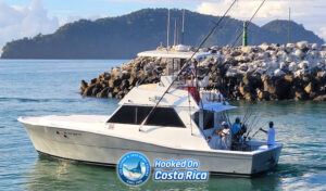41' Viking Jaco fishing charter